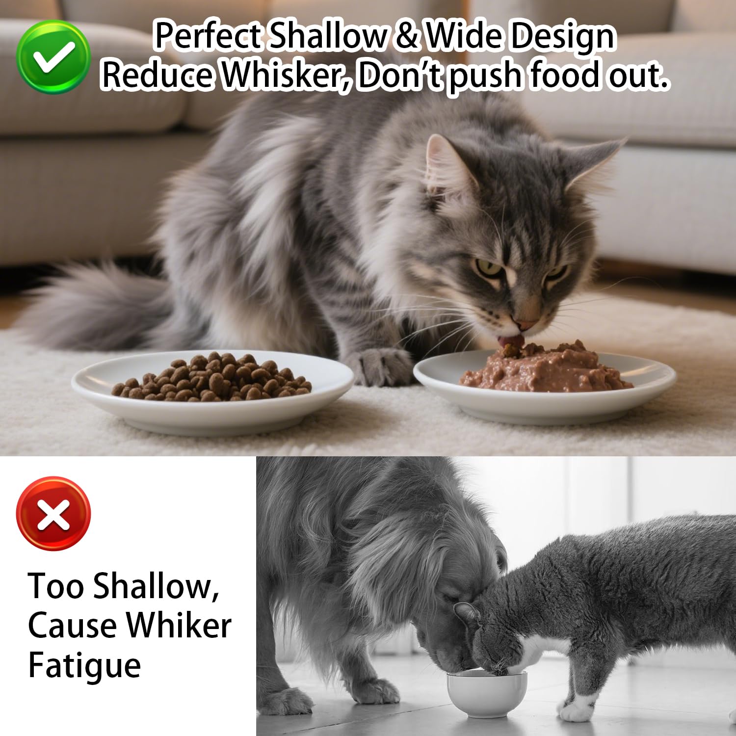 KITCHENLESTAR anti-whisker-fatigue bowl keeps feline face clean while eating.