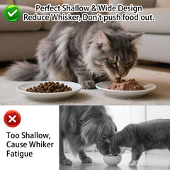 KITCHENLESTAR anti-whisker-fatigue bowl keeps feline face clean while eating.