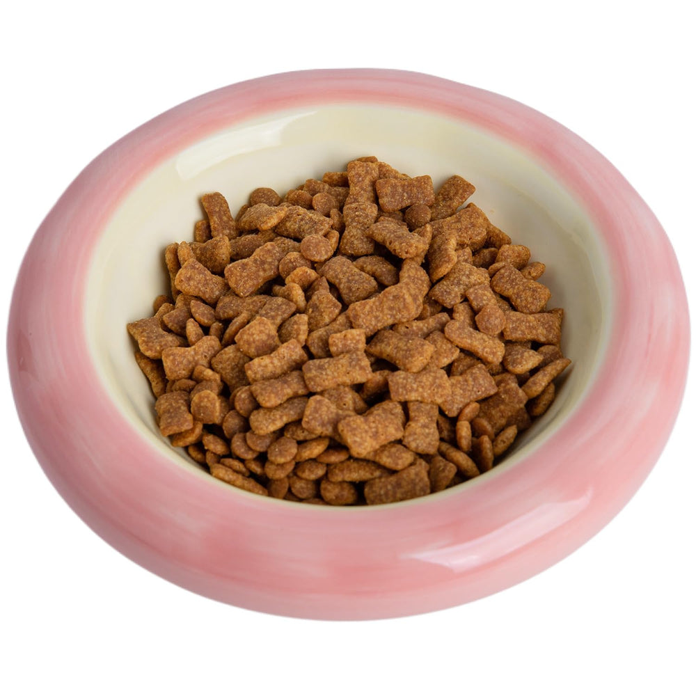 KITCHENLESTAR cat bowl ceramic texture highlights durability and scratch resistance for daily use