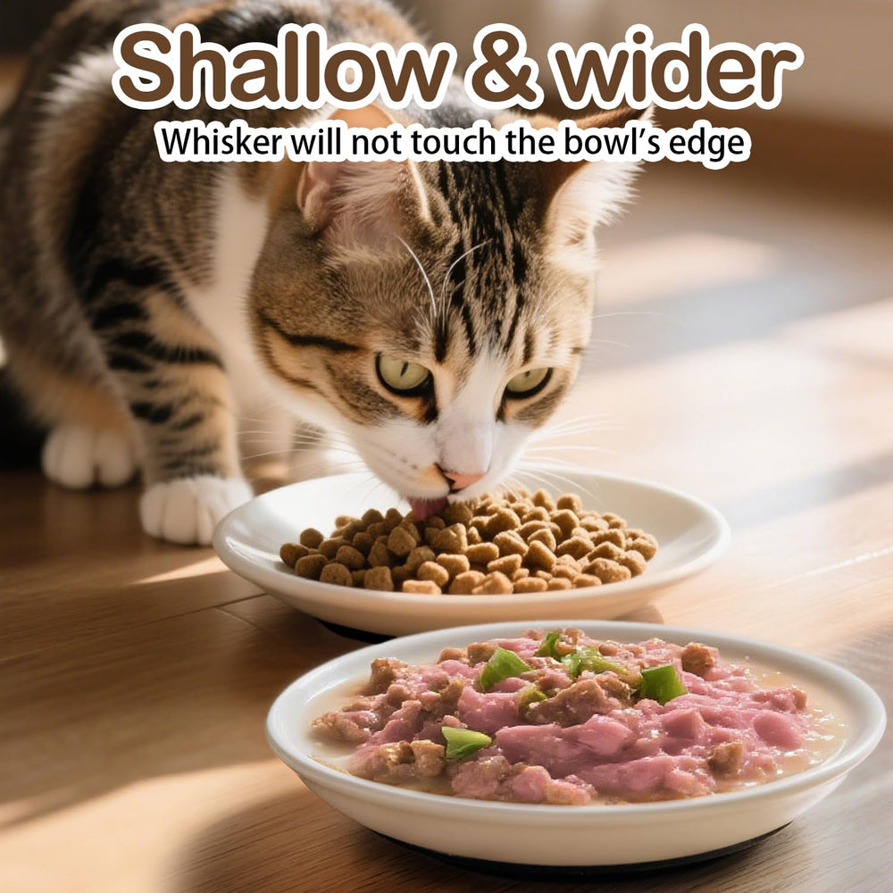 KITCHENLESTAR cadmium-free ceramic bowls offer safe feeding.