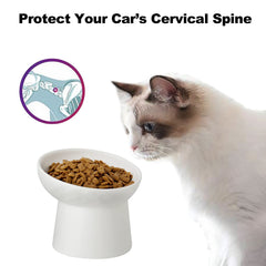 KITCHENLESTAR ceramic bowl base stability prevents tipping and keeps feeding area tidy