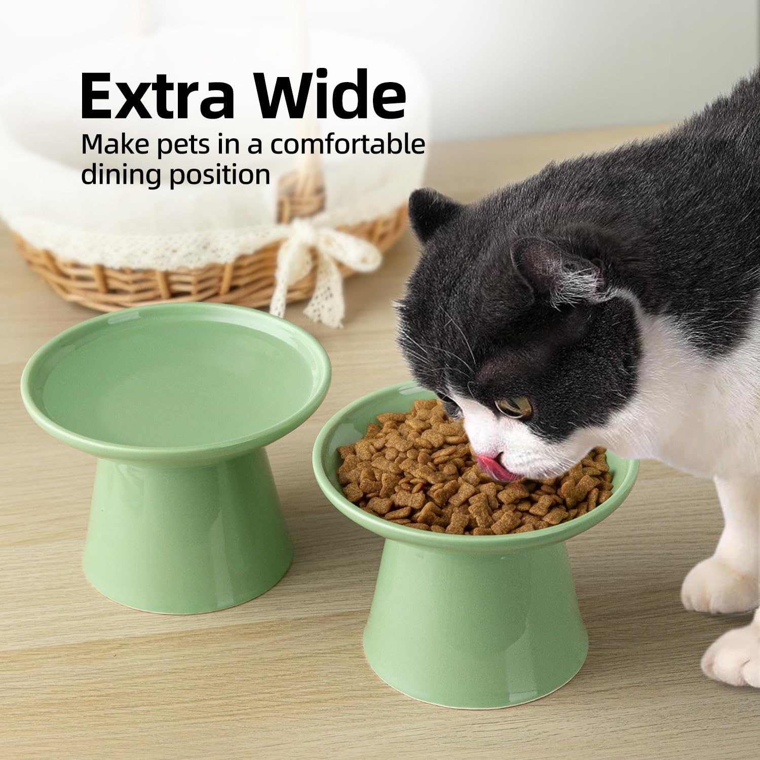 KitchenLESTAR ceramic cat bowls close-up; non-absorbent surface resists odors and stains.