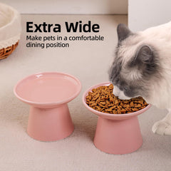 KITCHENLESTAR ceramic bowl close-up, non-absorbent surface stays clean.