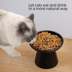 KITCHENLESTAR ceramic bowls provide durable, easy-to-clean food and water options