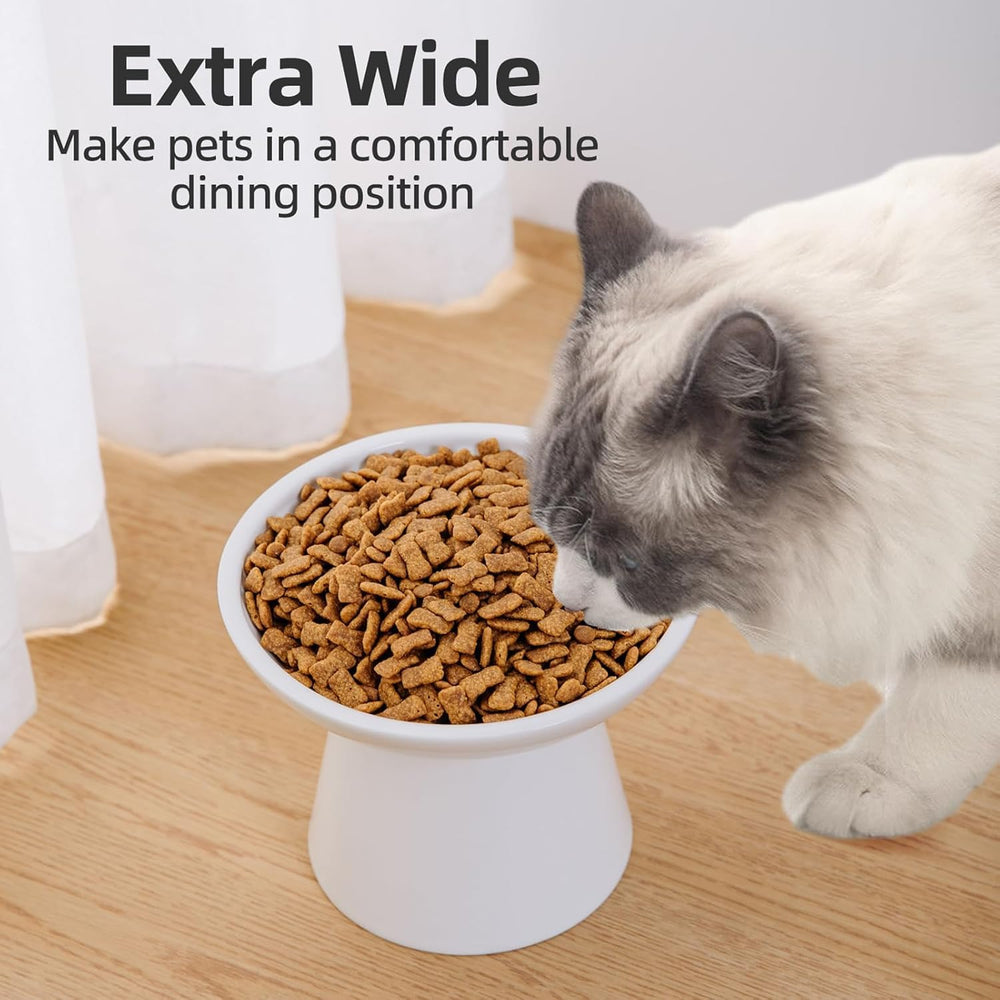 KITCHENLESTAR elevated bowls arranged in a raised setup for easy access