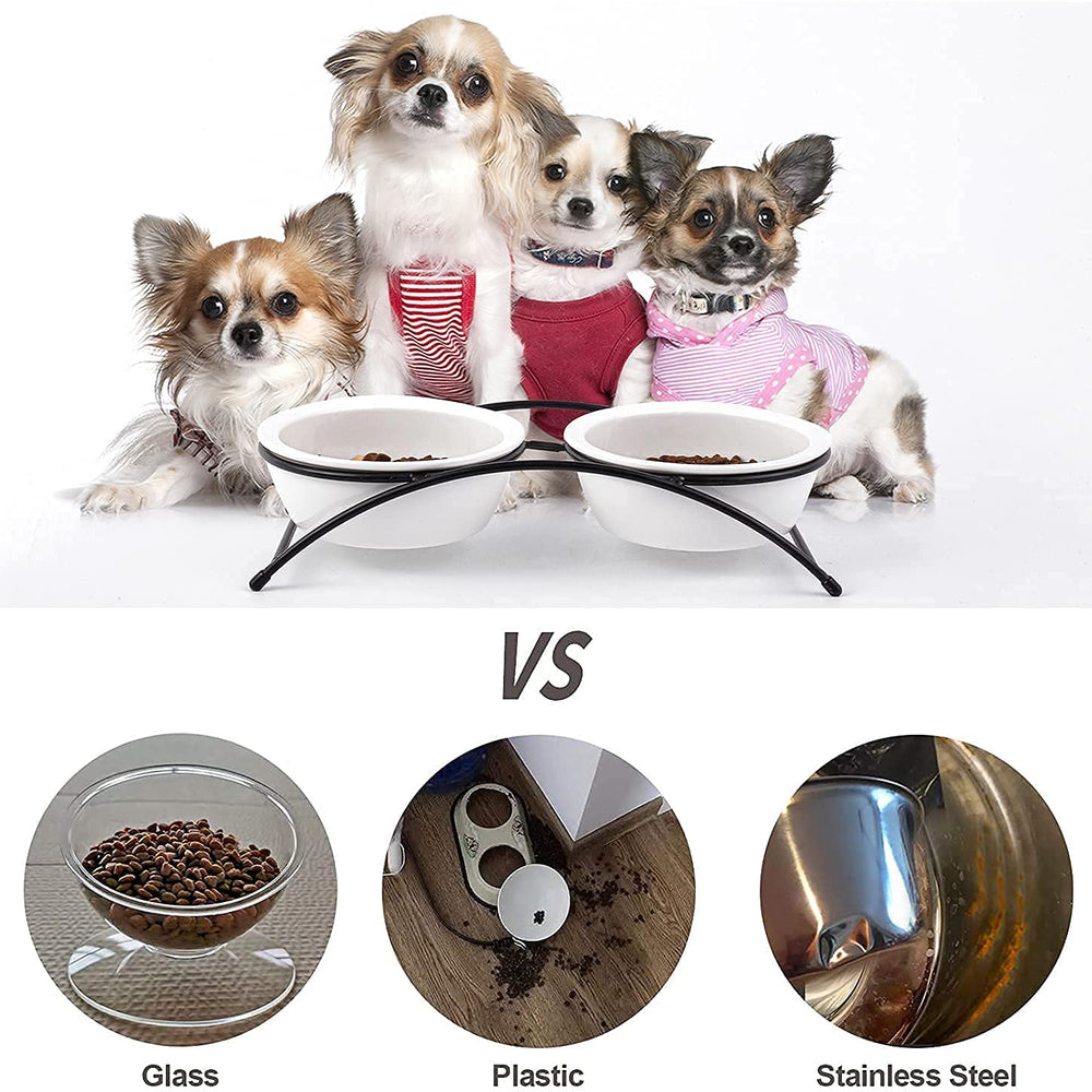 KitchenLeStar dishwasher-safe ceramic cat bowl ready for quick cleanup