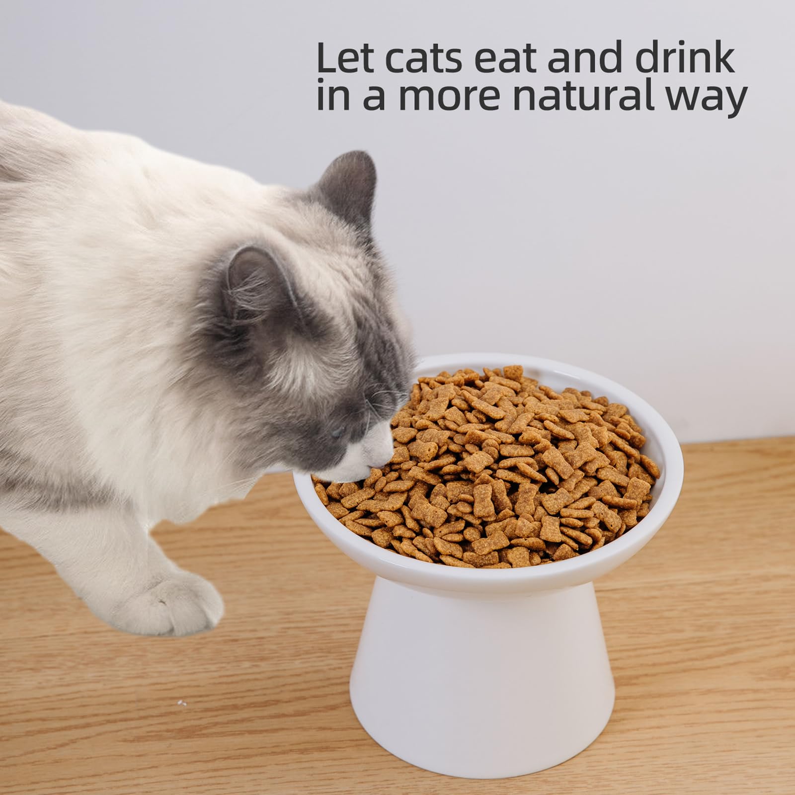 KITCHENLESTAR elderly-cat friendly setup reduces bending during meals.