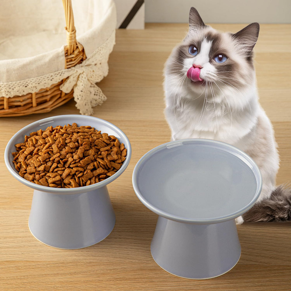 KITCHENLESTAR elder cat friendly height eases meals for arthritic cats in a living space.
