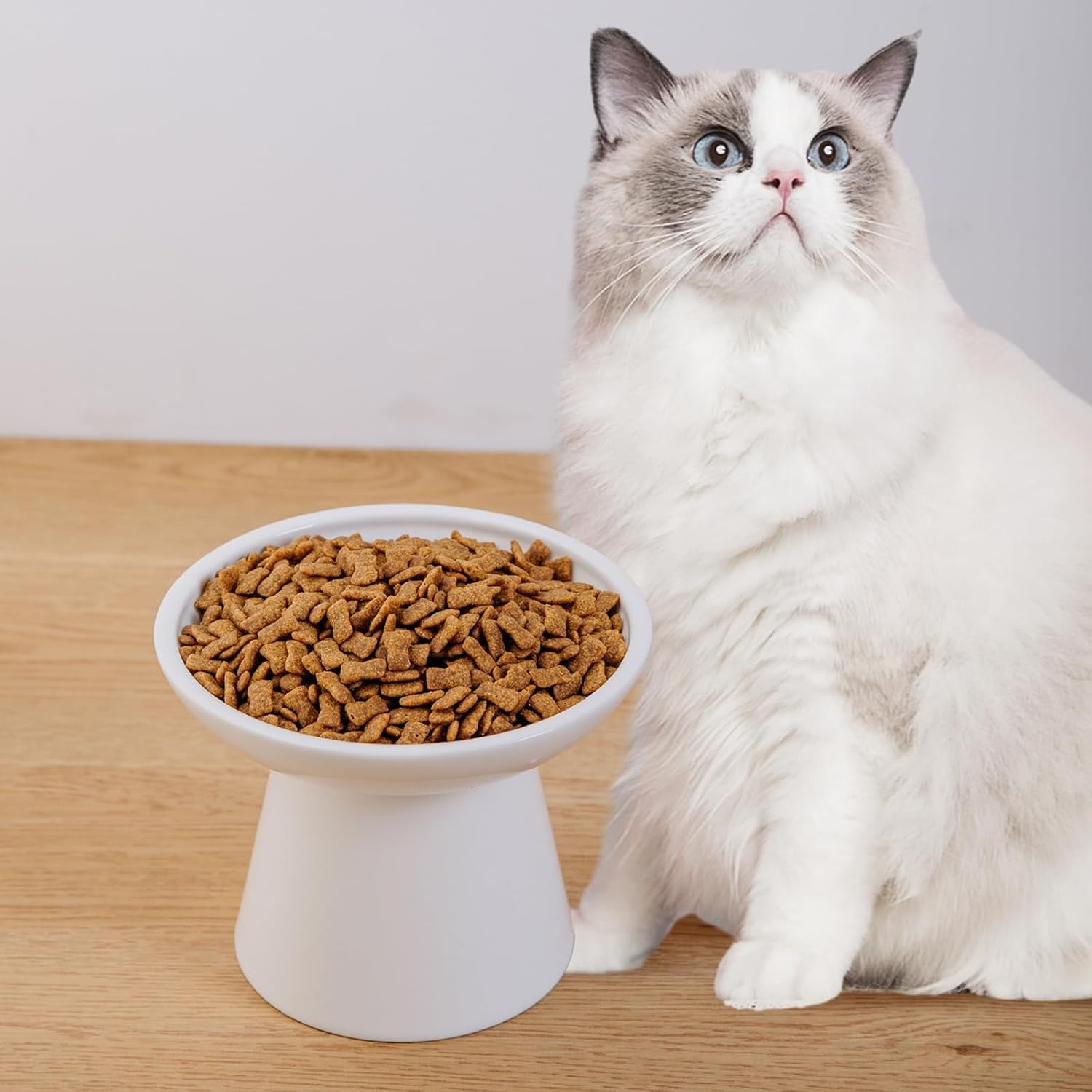 KITCHENLESTAR elder-cat-friendly height eases eating without bending