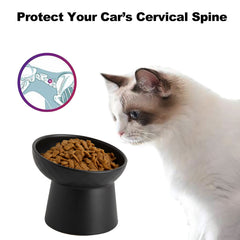 KITCHENLESTAR elevated cat feeder 2-pack for comfortable, mess-free meals.