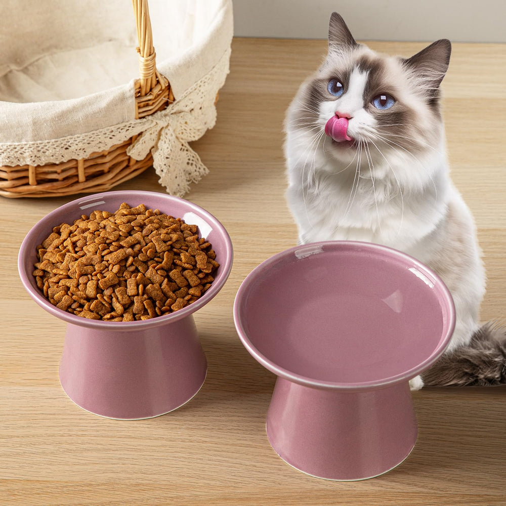 KITCHENLESTAR modern ceramic cat bowls two-piece set blends style with ergonomics.