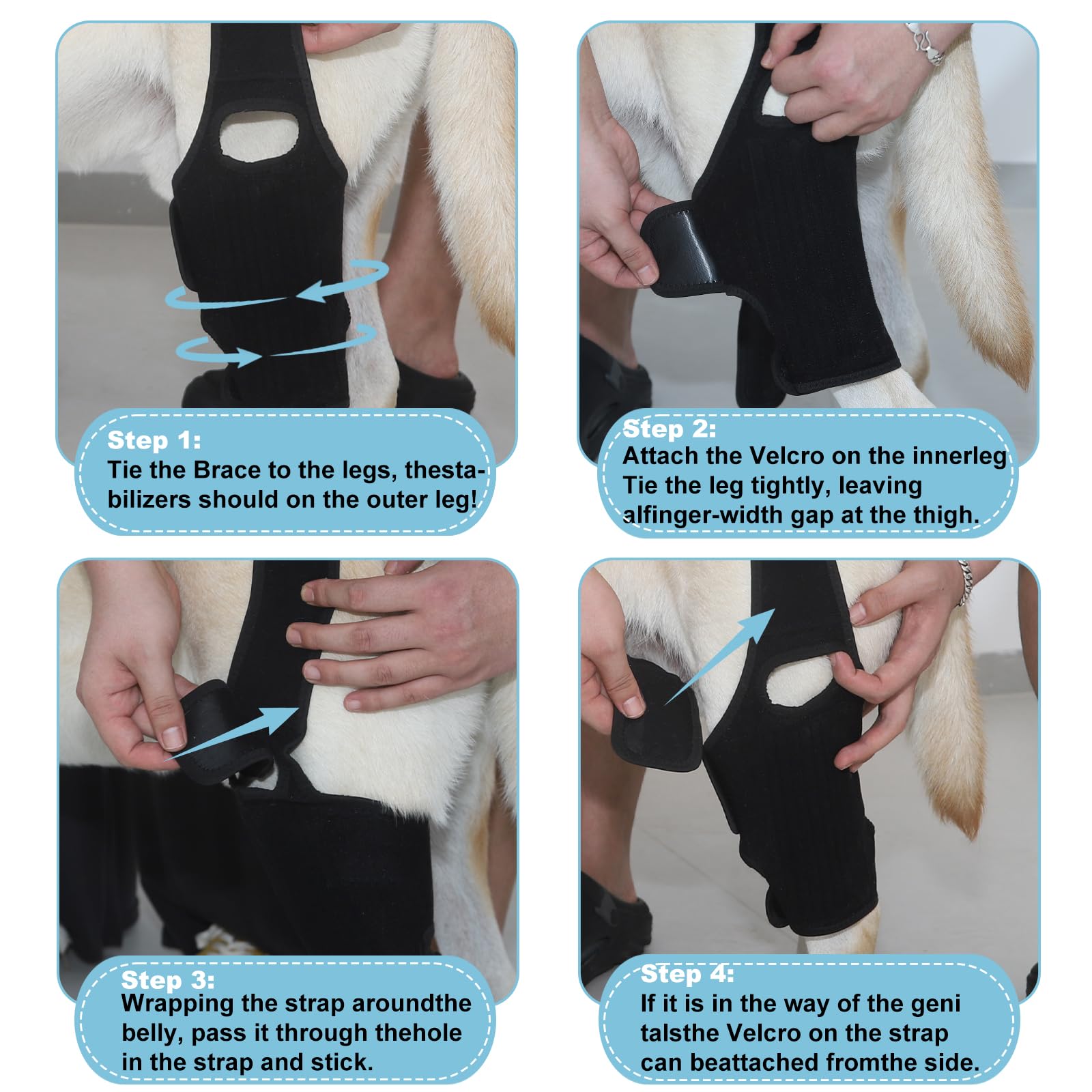 KitchMingle arthritis-support brace designed for knee comfort in dogs.