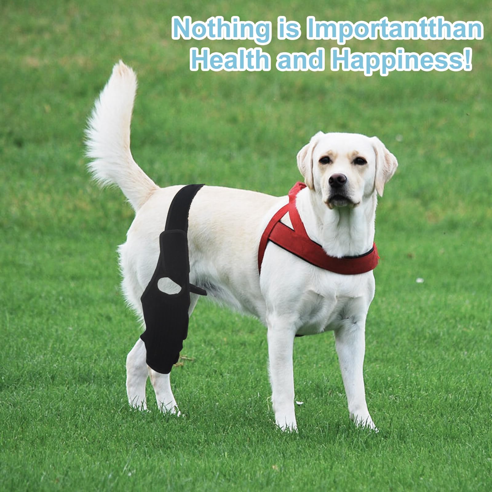 KitchMingle knee support sleeve provides gentle compression for rear leg stability.