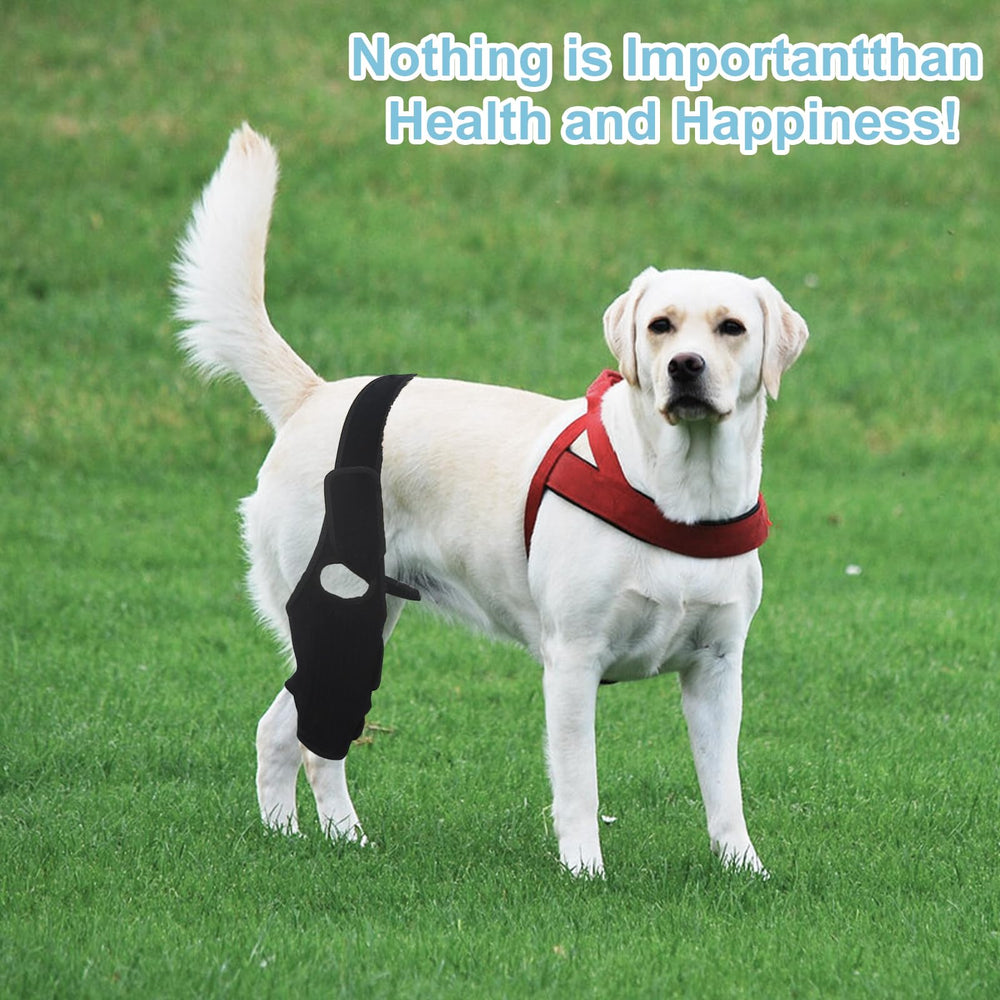 KitchMingle knee support sleeve provides gentle compression for rear leg stability.