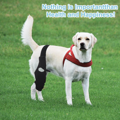 KitchMingle knee support sleeve provides gentle compression for rear leg stability.