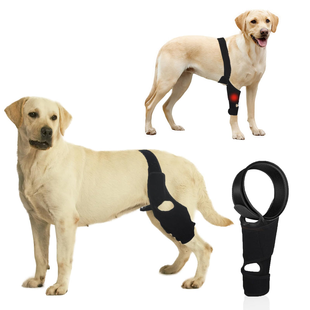 KitchMingle dog rear leg brace with side stabilizers for enhanced knee stability.