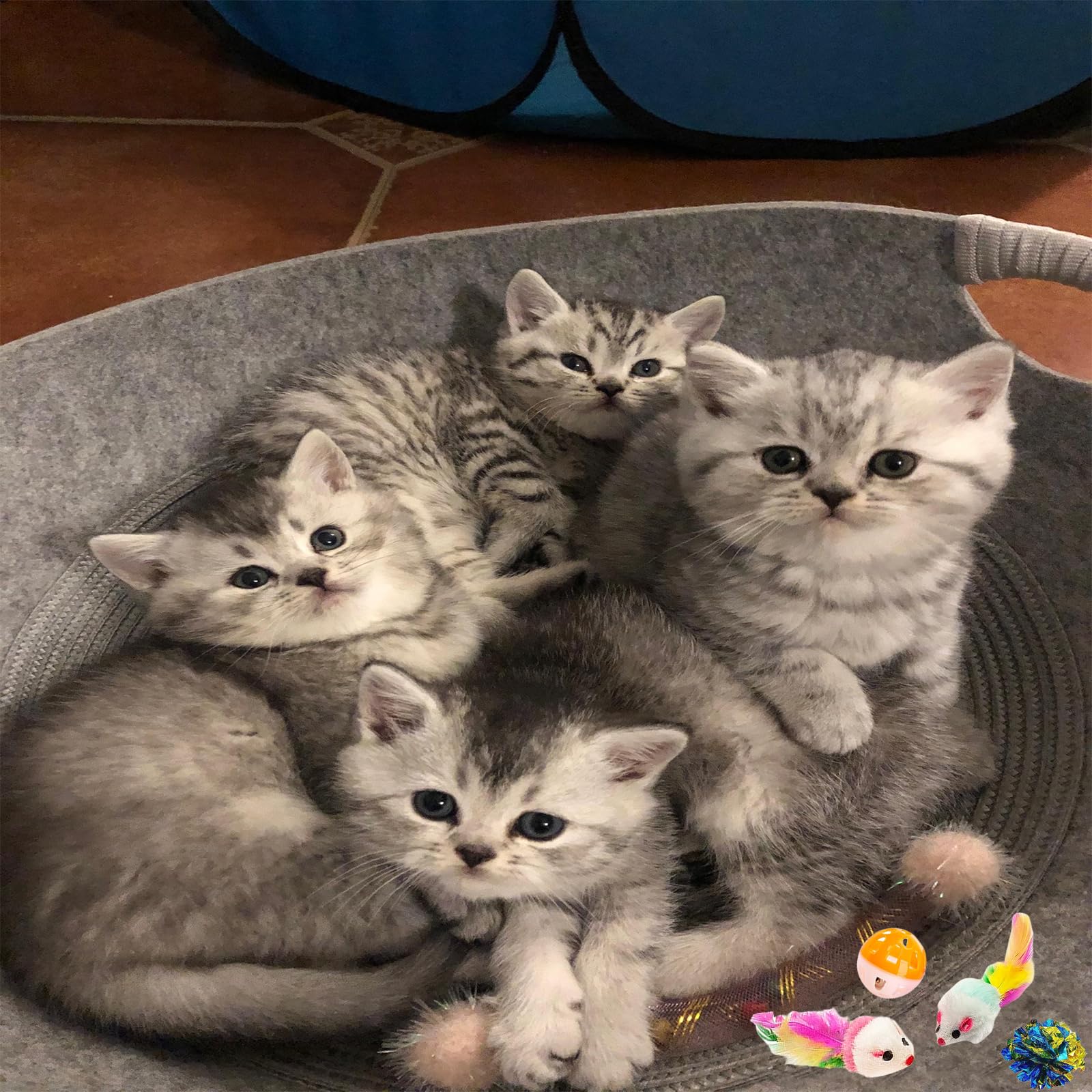 KITCHSTAR crinkle balls generate intriguing sounds to spark interactive play.