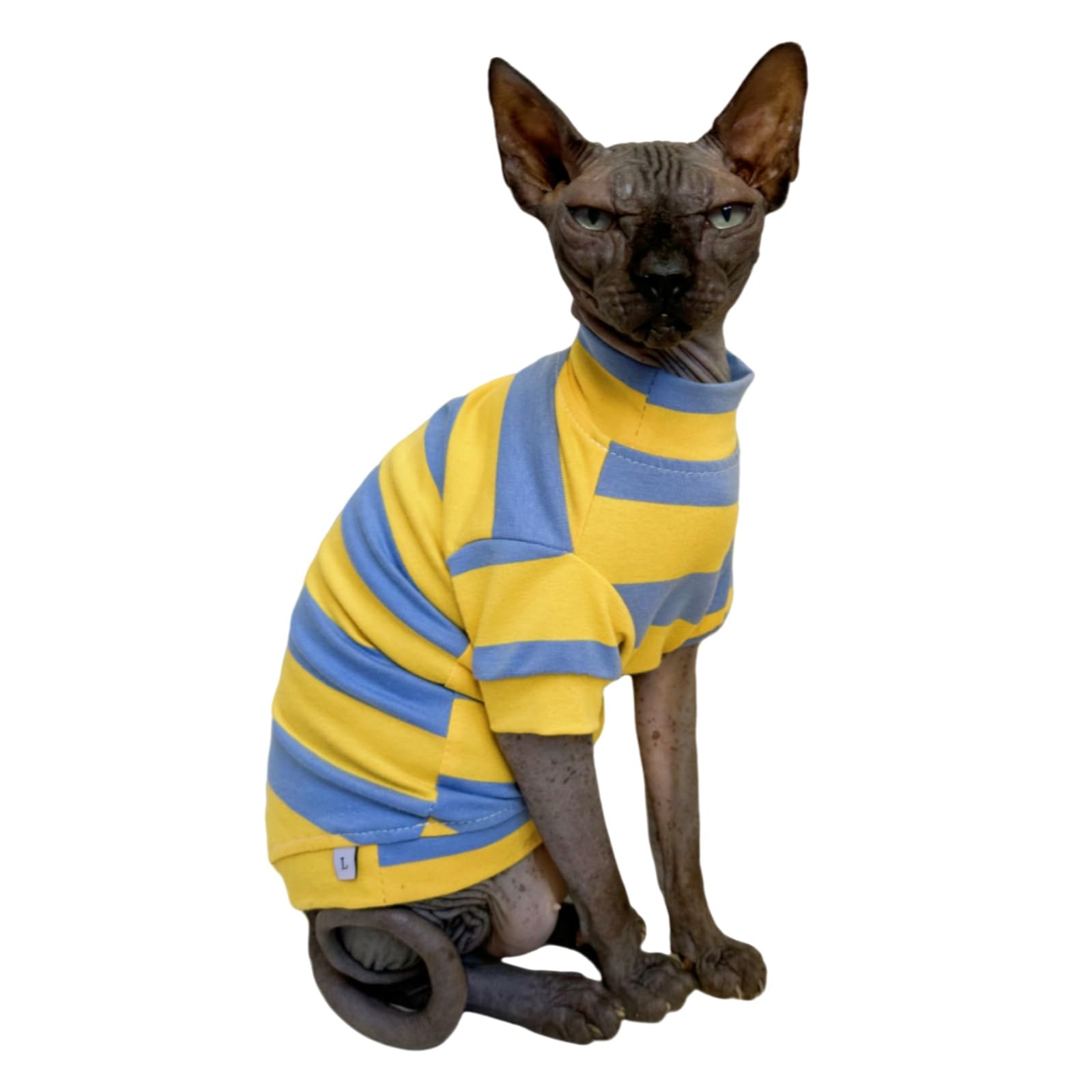 Kitipcoo Sphynx shirt blue-yellow back view in lightweight cotton