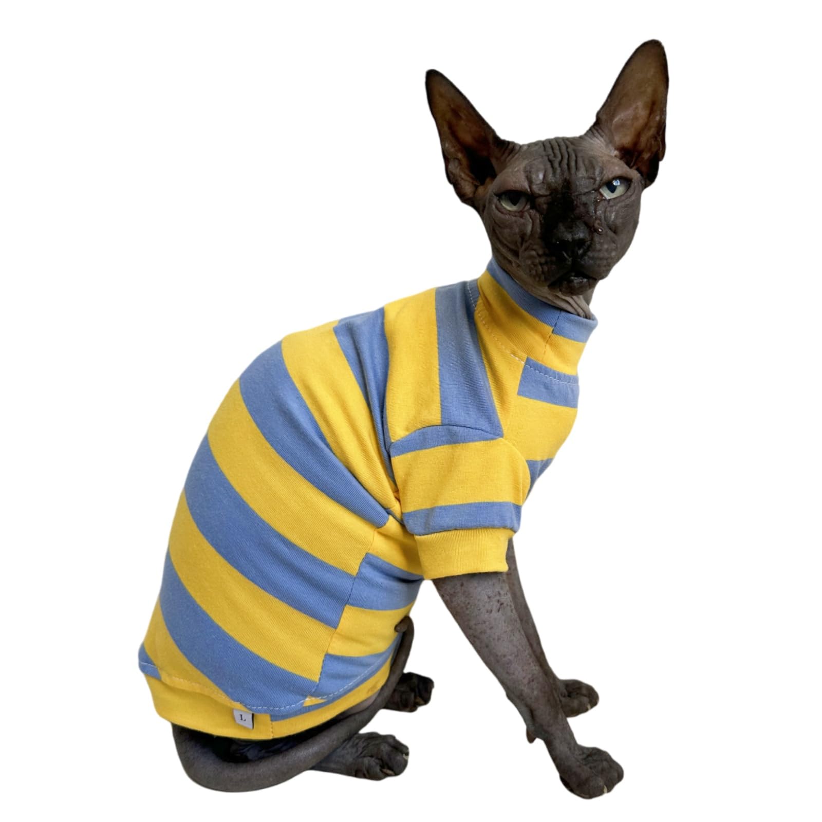 Kitipcoo Sphynx shirt blue-yellow closeup shows soft cotton texture
