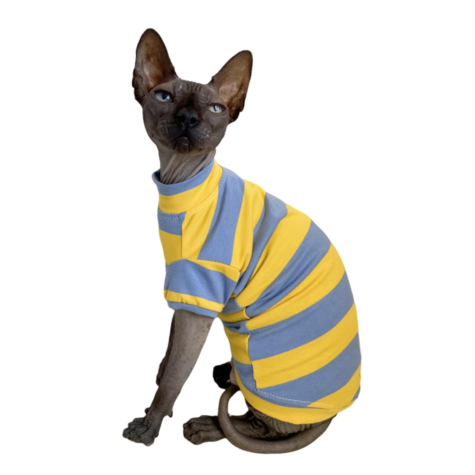 Kitipcoo Sphynx shirt blue-yellow front view for comfortable daily wear