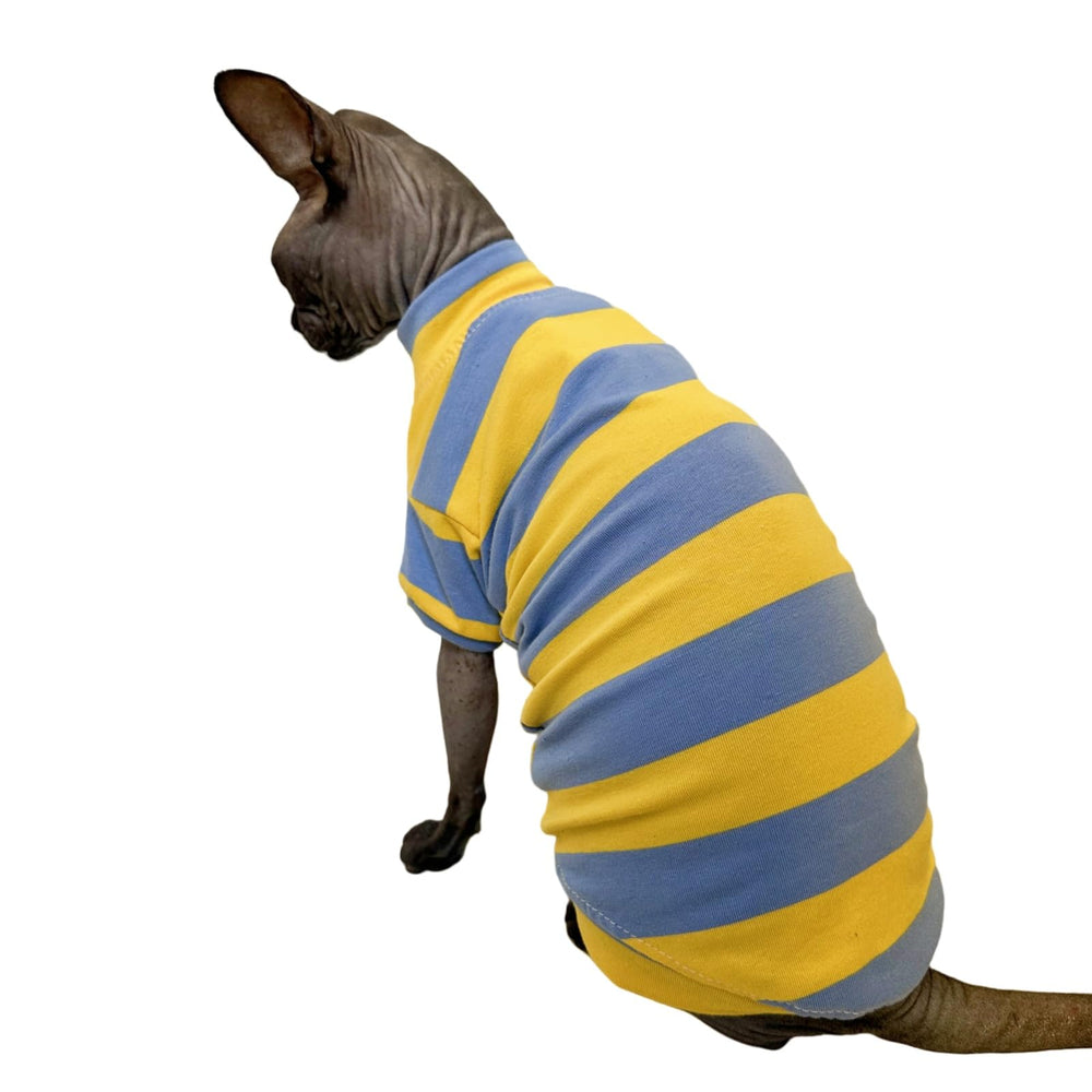 Kitipcoo Sphynx shirt blue-yellow worn on cat during photos for a stylish look