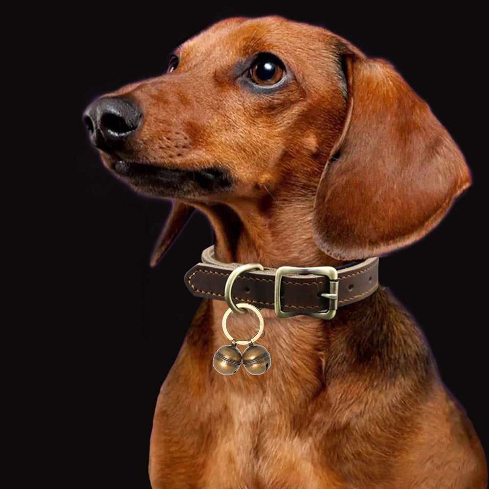 KITTAIL bell with snap clip fits both dogs and cats