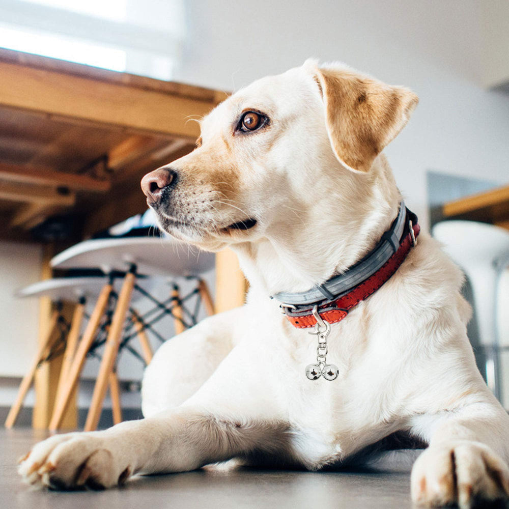 KITTAIL audible bells help you locate your pet in brush, woods, or hills.