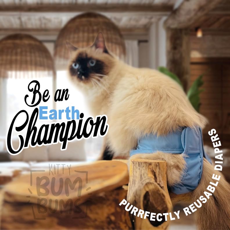 Kitty BumBums tail-friendly design enables natural movement during wear