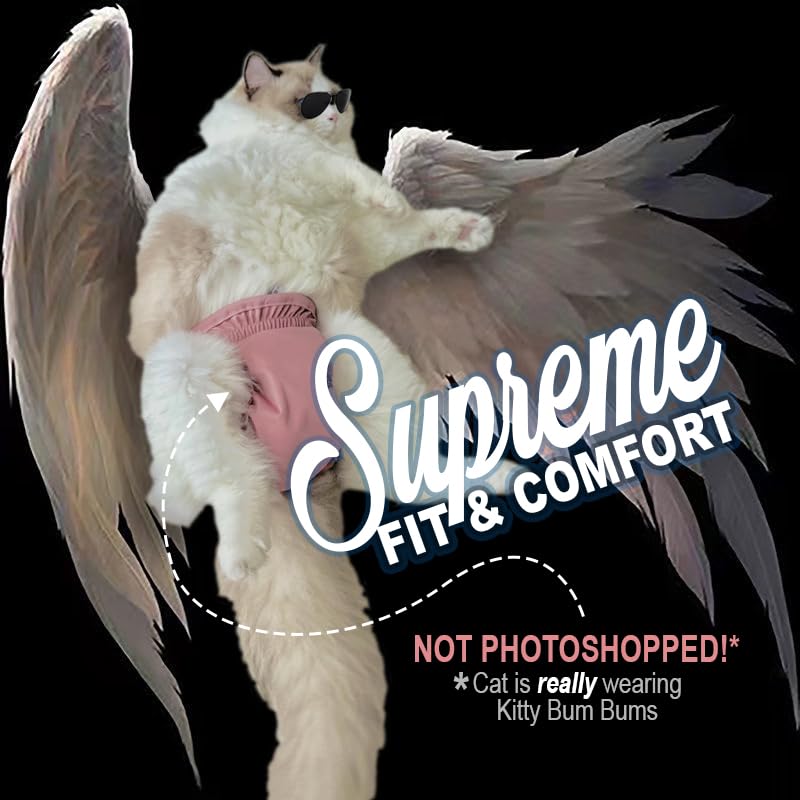 Kitty BumBums ideal for heat, recovery, or breeders awaiting neuter