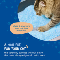 Kitty Cure cat scratcher board is waterproof, easy to wipe between litter box cleanups