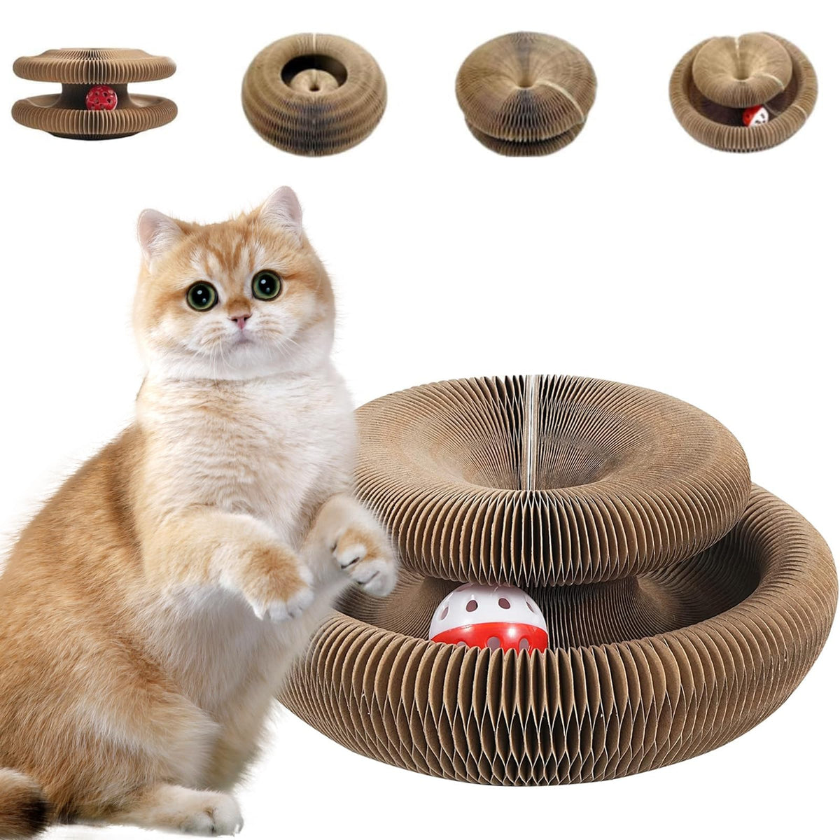 Kitty Curlz scratcher ball track engages cats with interactive play and claw exercise.