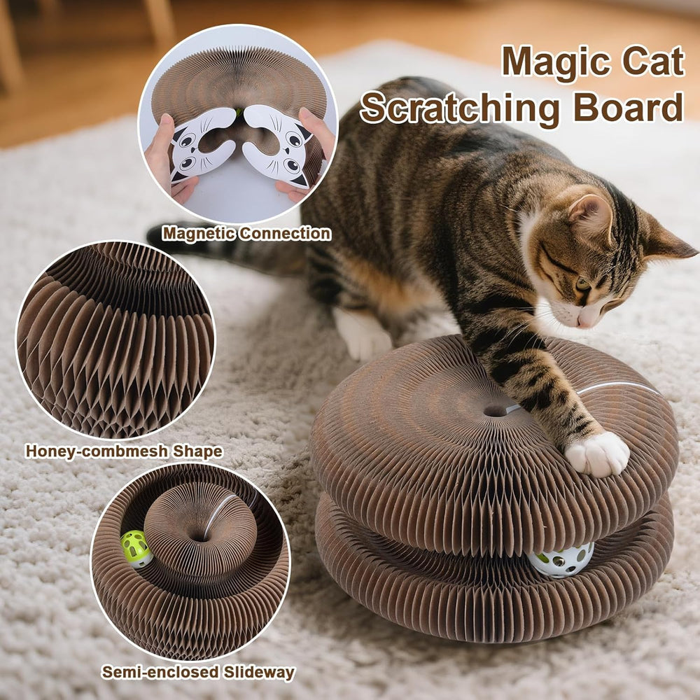 Kitty Curlz large interactive scratch area invites chasing, pouncing, and exercise