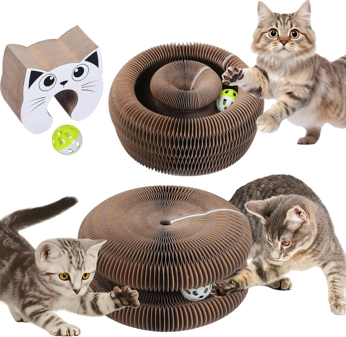 Kitty Curlz magic organ cat toy with built-in ball for interactive play