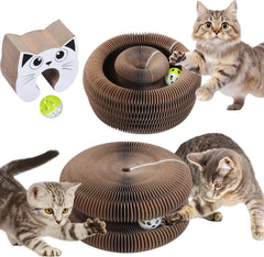 Kitty Curlz magic organ cat toy with built-in ball for interactive play