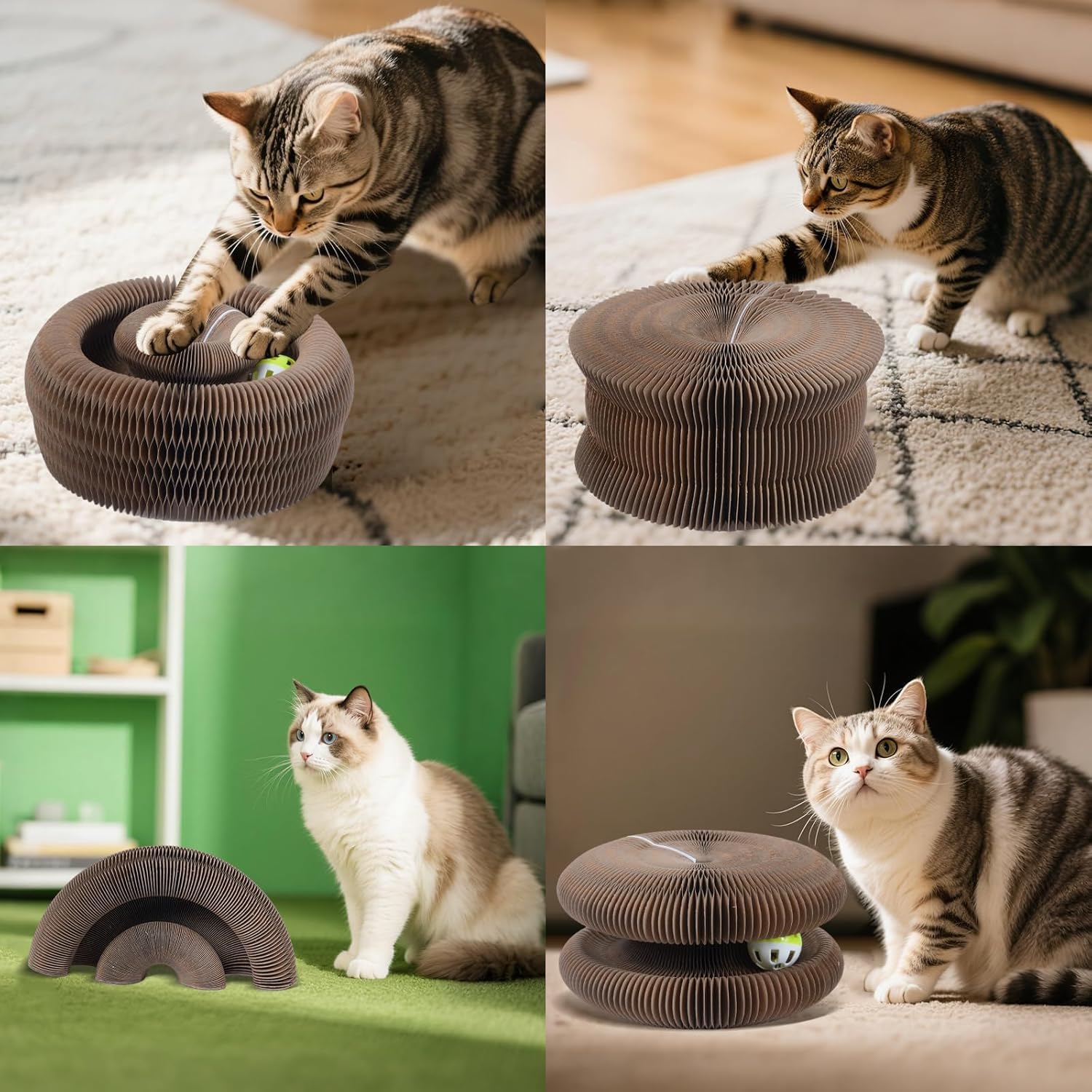 Kitty Curlz 2-pack packaging image emphasizes two ball-toy set for extended play