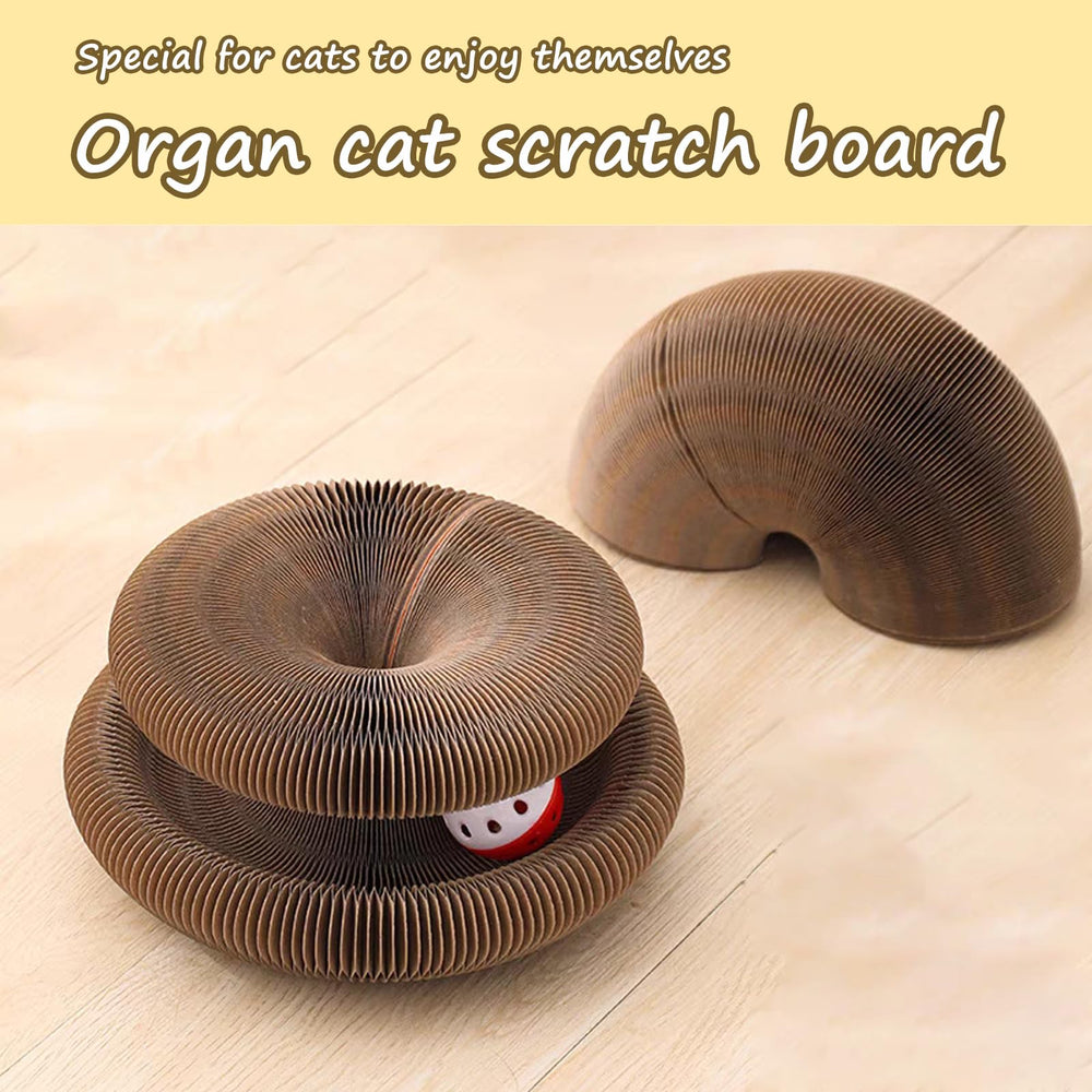 Kitty Curlz recyclable material highlights eco-friendly construction for conscious shoppers.
