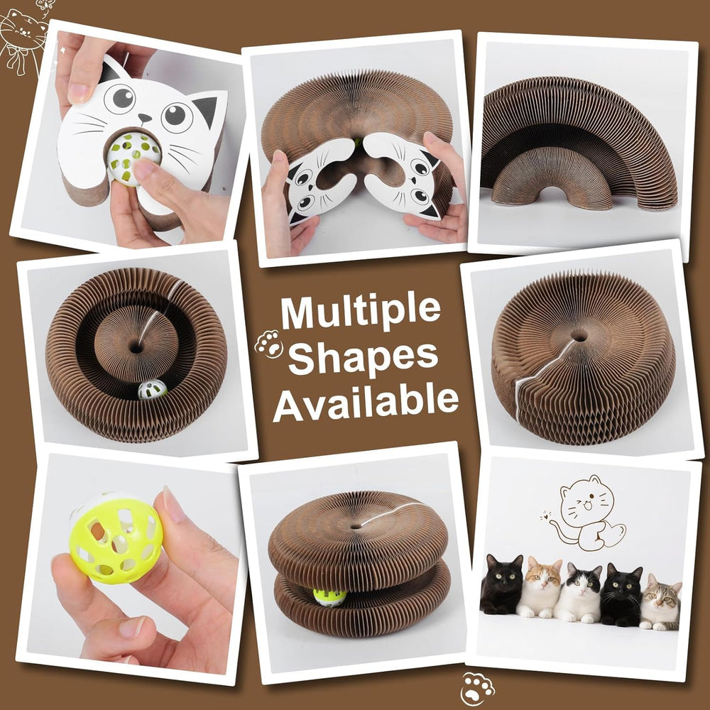 Kitty Curlz reversible infinity design showcases varied play patterns for curiosity