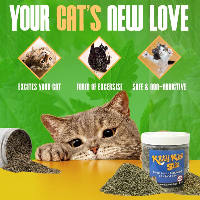 Kitty Kick Stix indoor play scene highlights exercise and bonding for cats.