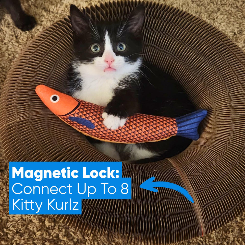 Kitty Kurlz promotes active play with motion and engagement for cats.