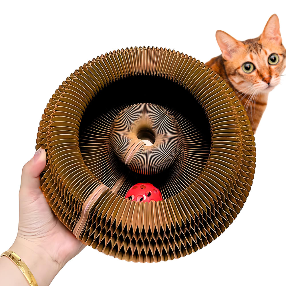 Kitty Kurlz shows magnetic design enabling shape-shift play for curious indoor cats.