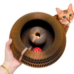 Kitty Kurlz shows magnetic design enabling shape-shift play for curious indoor cats.