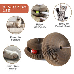 Kitty Kurlz magnetic sides enable instant shape changes for varied play configurations.