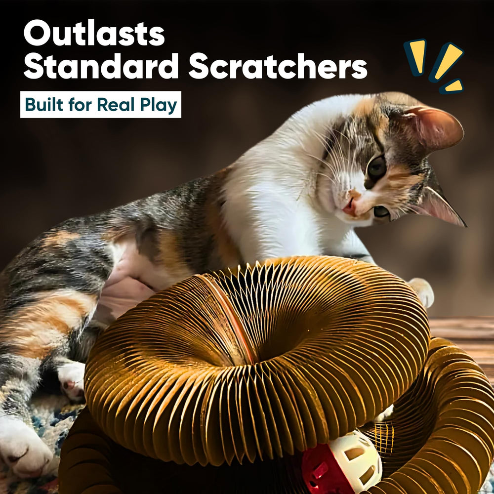 Kitty Kurlz portable setup lets cats play indoors or on the go.