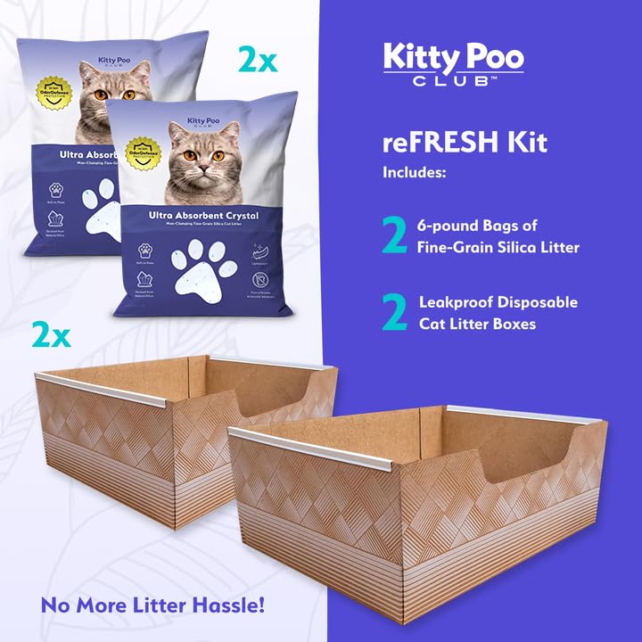 Kitty Poo Club 6 lbs fine-grain silica litter for strong absorption.