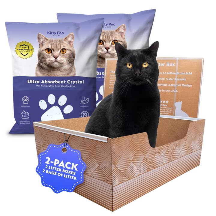 Kitty Poo Club leakproof disposable box with 2-pack design keeps floors dry.