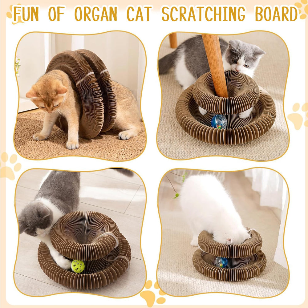 Kitty Curlz Magic Organ Cat Toy sturdy construction withstands sharp claws during play.