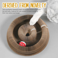 Kitty Curlz Magic Organ Cat Toy scratch pad shows corrugated cardboard texture for scratching.