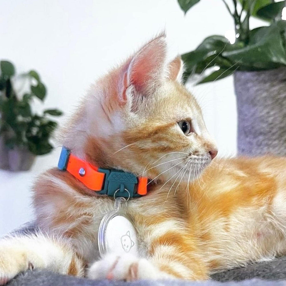 Kittyrama hypoallergenic strap close-up reduces neck irritation with skin-friendly materials.