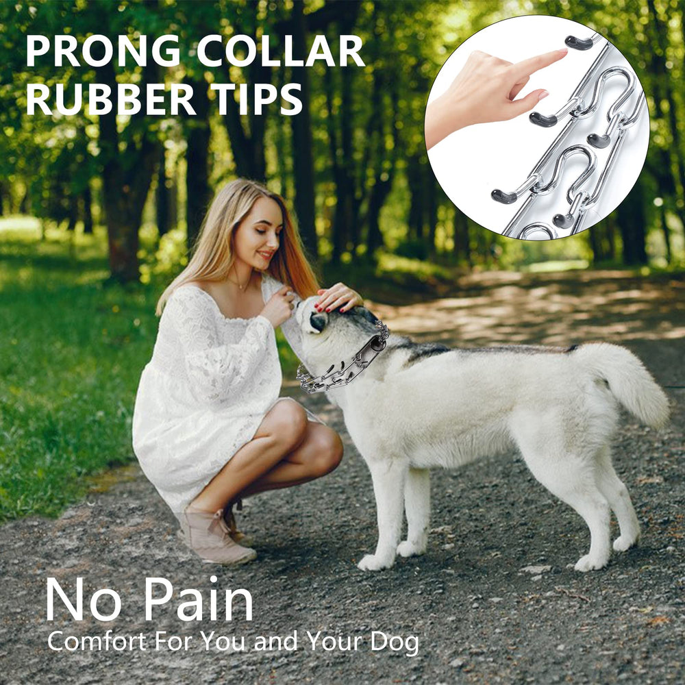 Kitys Fatch adjustable collar shown on multiple dog sizes for versatile training