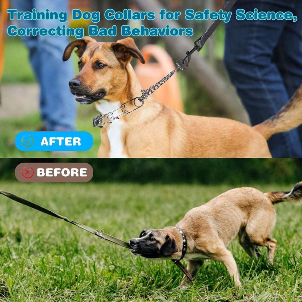 Kitys Fatch prong collar silver adjusted-fit on a dog for comfortable sizing